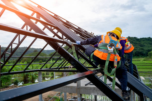 Best Storm Damage Roof Repair  in Cedar Grove, FL