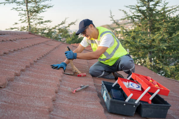 Best Metal Roofing Contractor  in Cedar Grove, FL