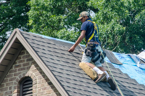 Best Roof Gutter Cleaning  in Cedar Grove, FL